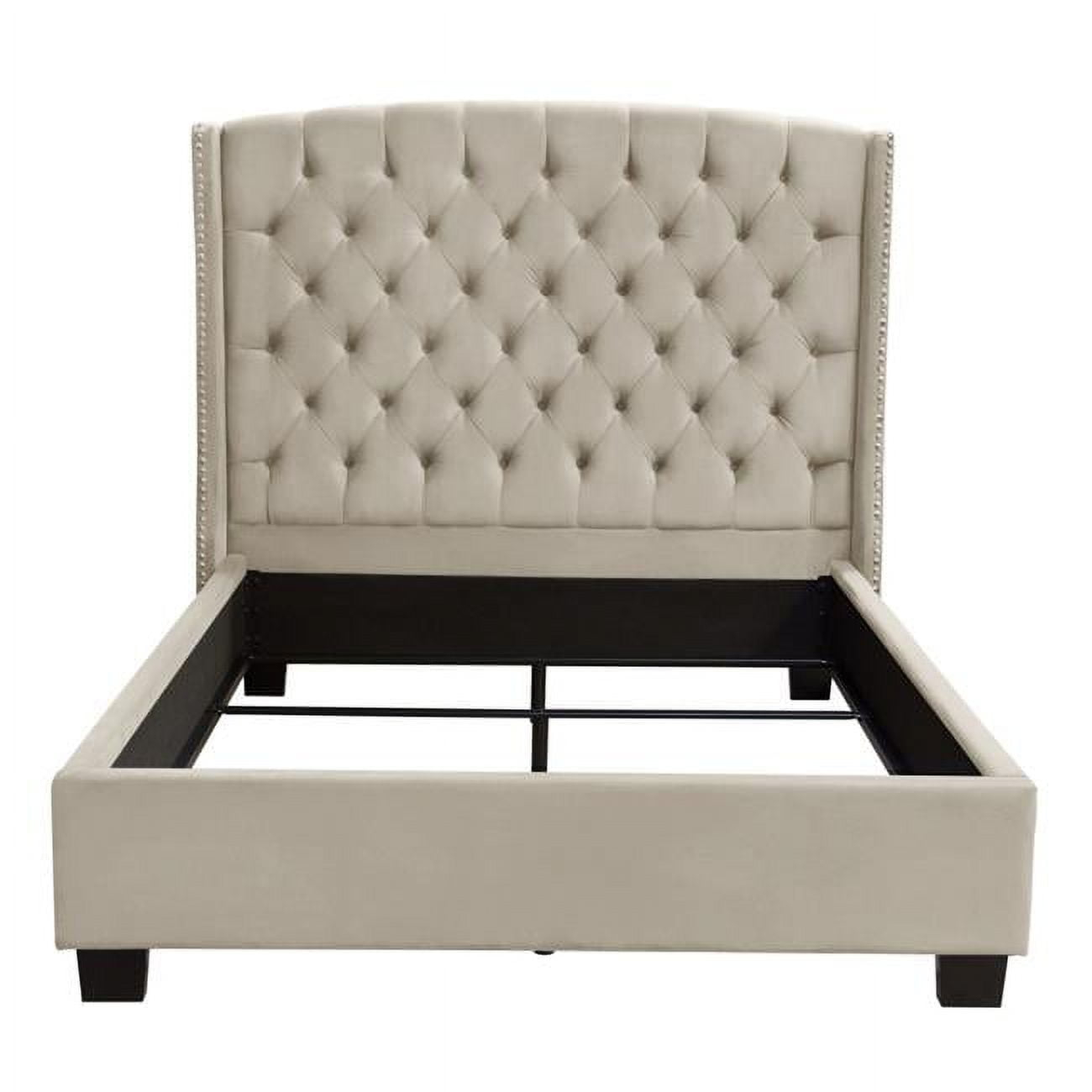 Majestic Queen Tufted Bed in Tan Velvet with Nail Head Wing Accents by Diamond Sofa