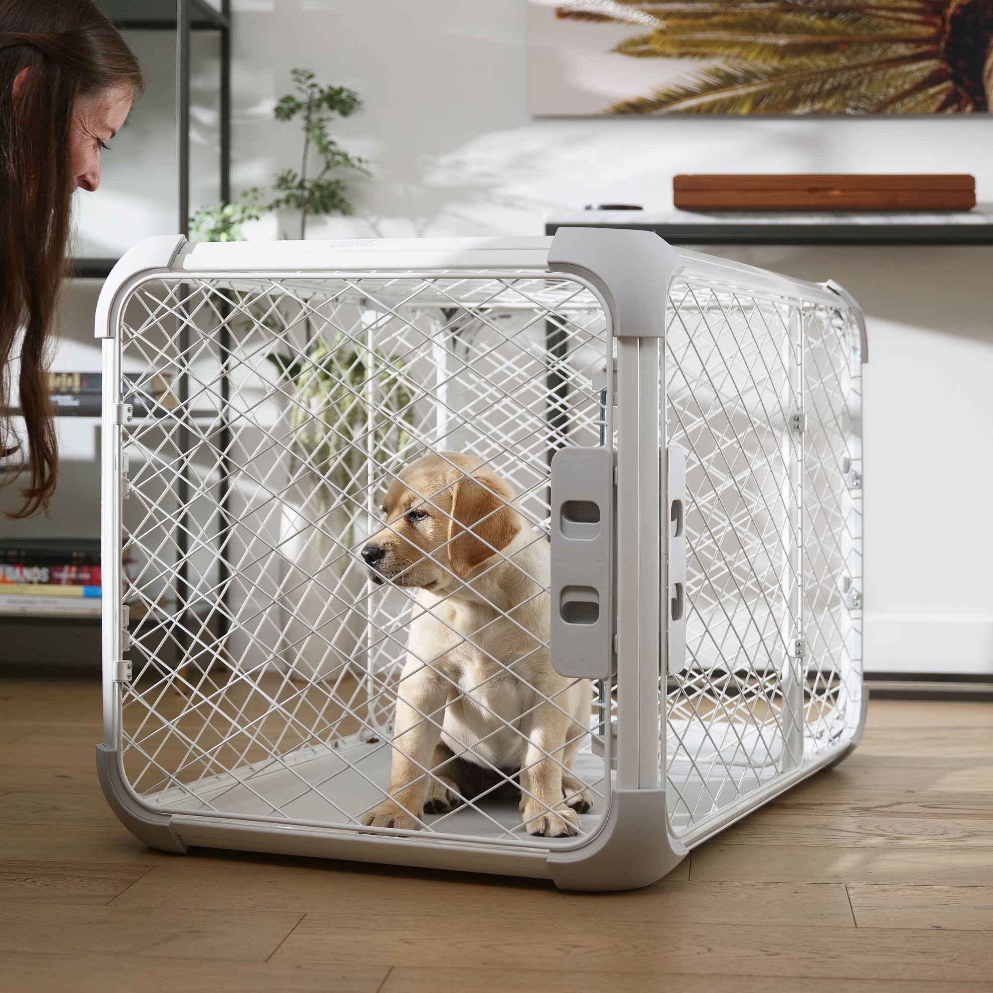 DIGGS 24" Evolv Dog Crate - Safe, Durable Kennel with Removable Ceiling Panel and Modular - Ash