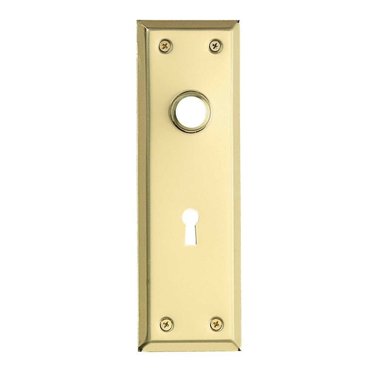 Door Back Plate