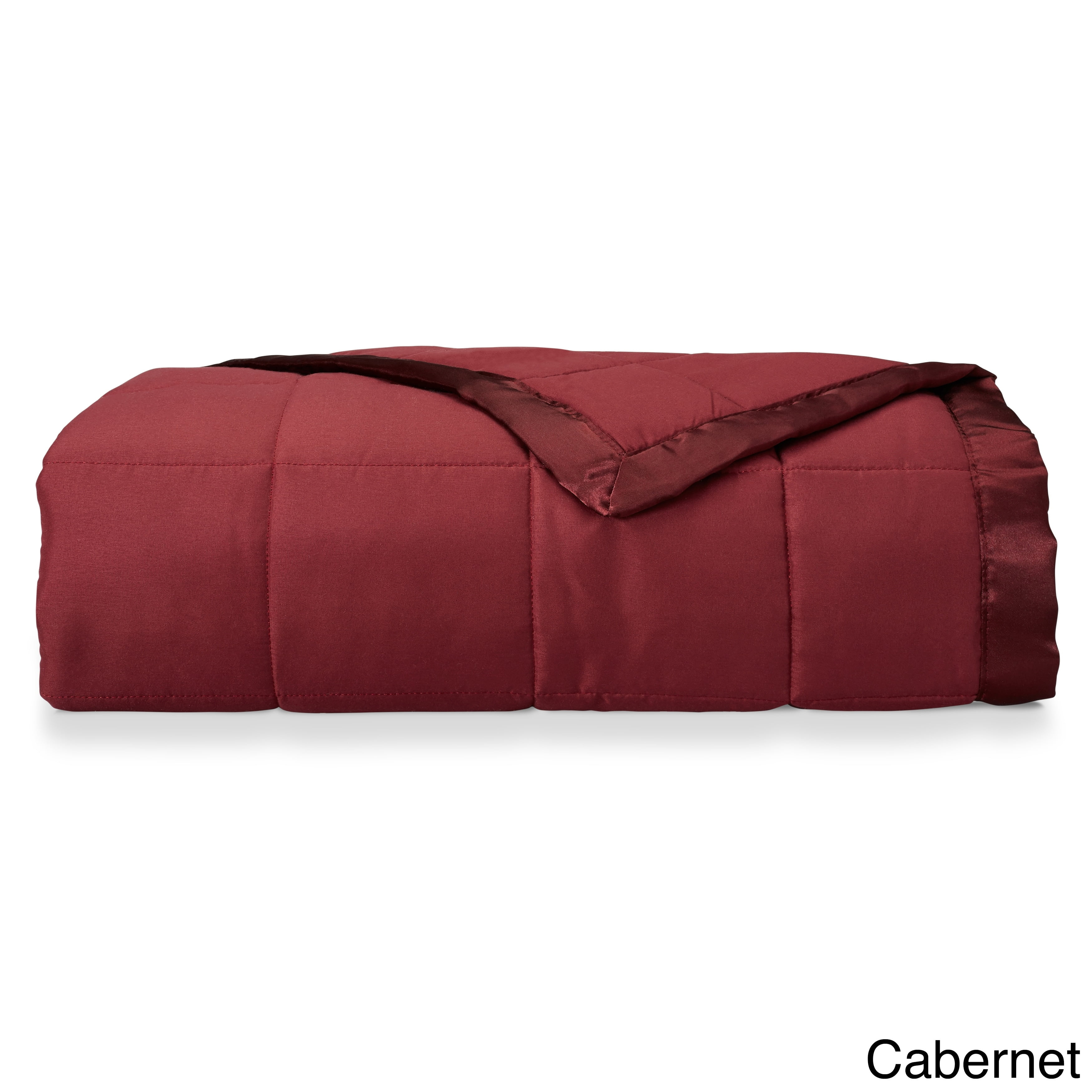 Down Alternative Solid Blanket - Twin