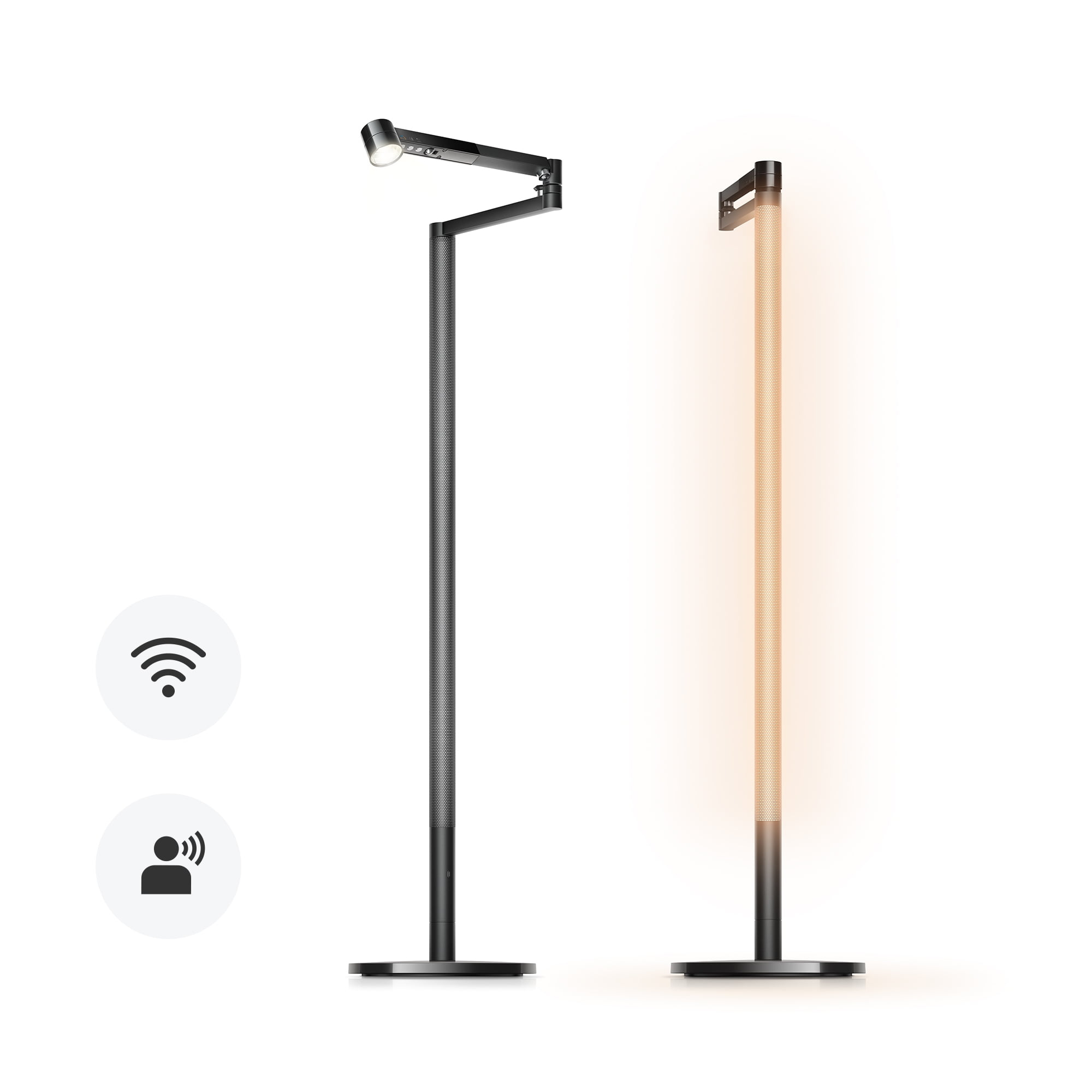 Dyson Solarcycle Morph™ Floor Light | Black | New