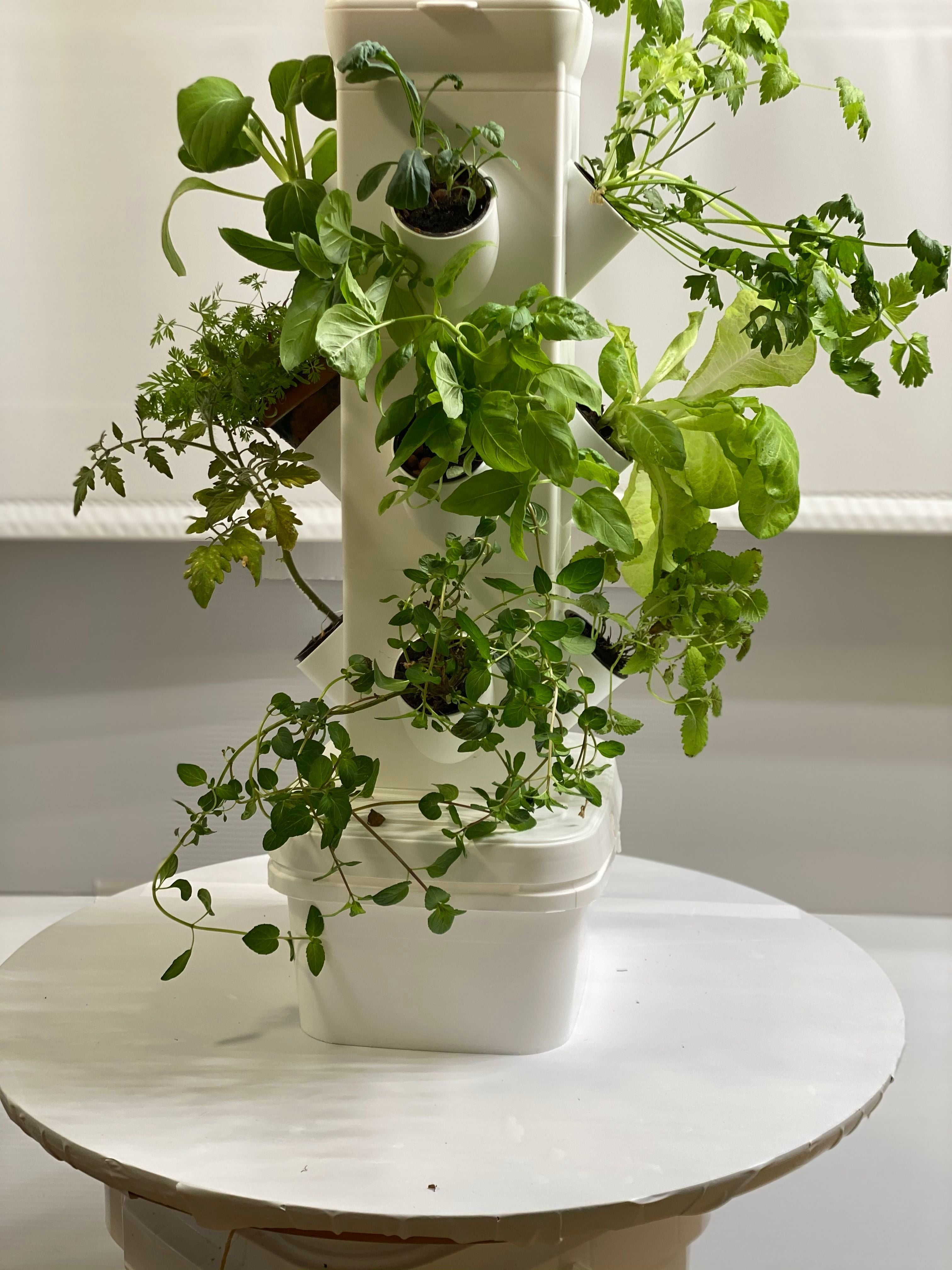 EXO Hydroponics Growing System Tier 3 Mini Tower - Advanced Indoor Gardening Kit for Healthy Plants - Automate Aeroponics Mini Indoor Outdoor Home Grow Herb