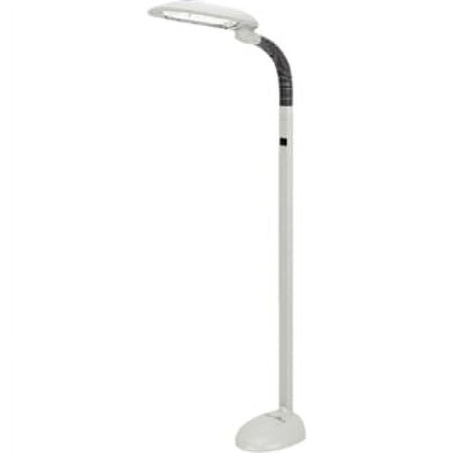 EaseEye SL-822 Floor Lamp