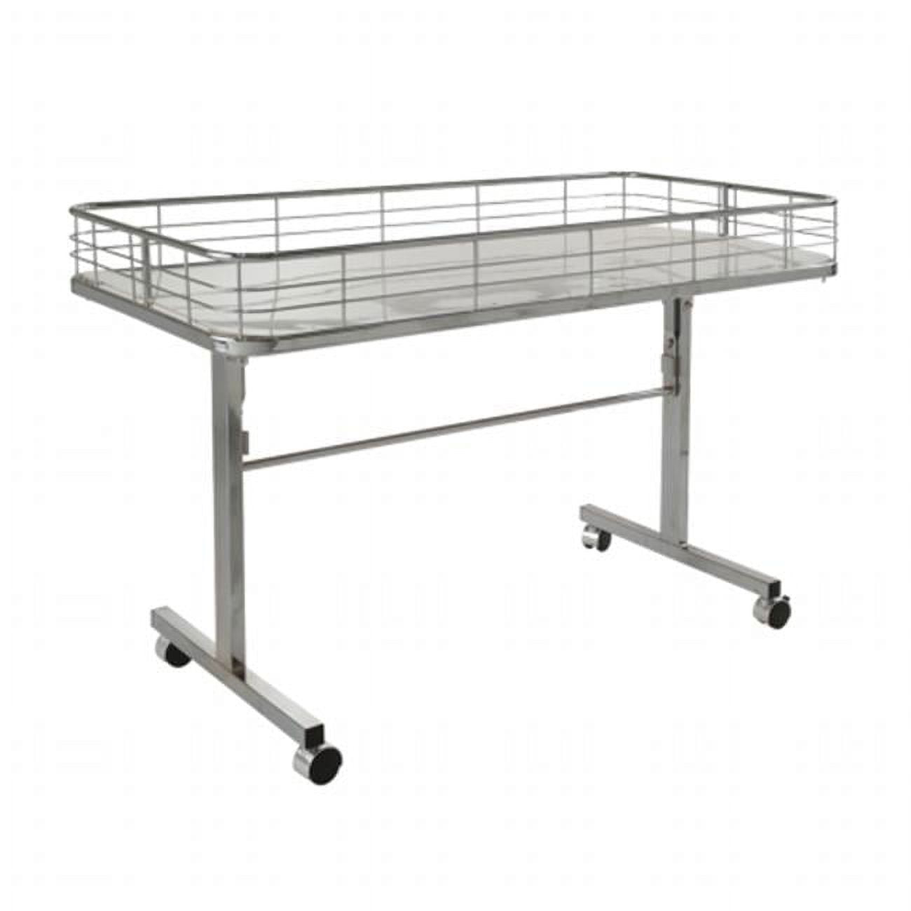 Econoco DT48 - C Folding Dump Table