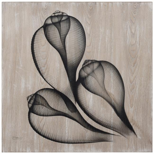 Empire Art Direct  Coastal Serenity II Fine Radiographic Photography Hi Definition Giclee Printed Directly on Hand Finished Ash Wood Wall Art by Albert Koetsier
