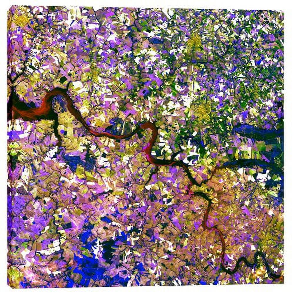World Menagerie " Tessera Mosaic "