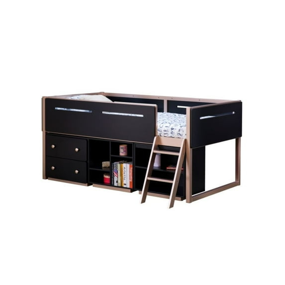 Prescott Bookshelf (2 Compartments) in Black & Rose-Gold