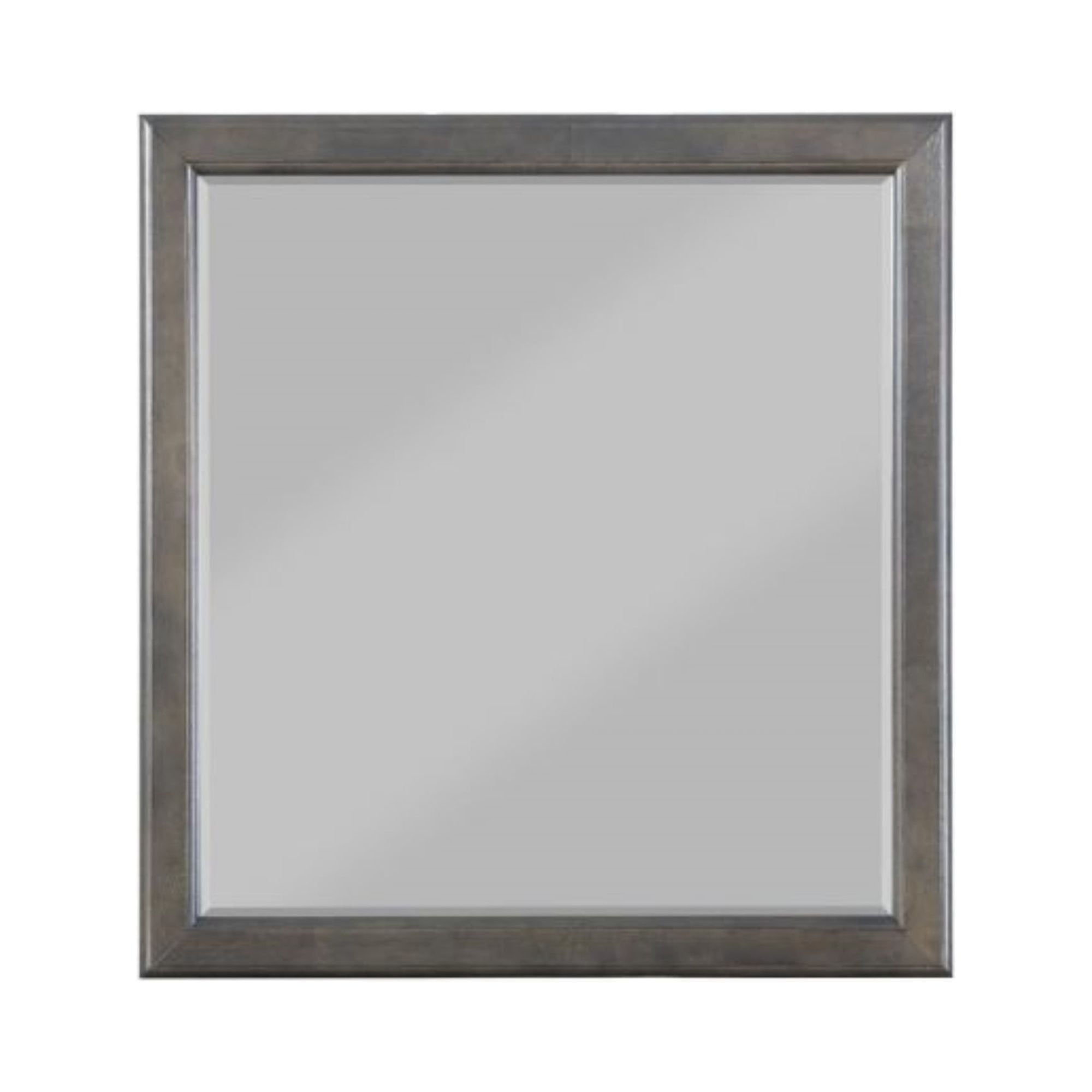 HomeRoots Classic Gray Wooden Mirror - 347120
