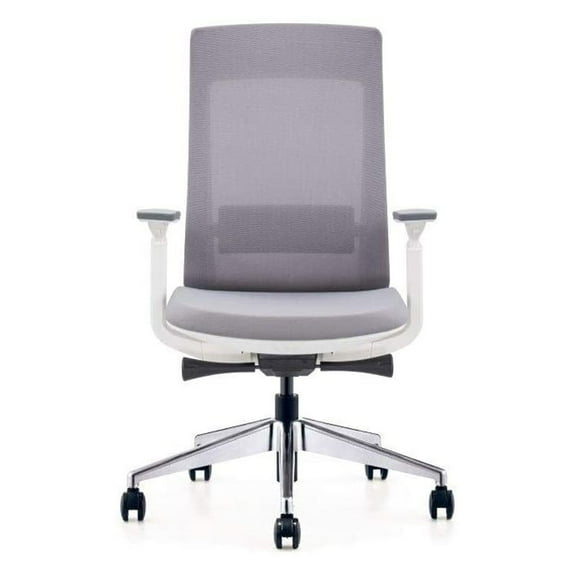 Eurotech Elevate Ergonomic Adjustable Office Chair, White Frame Gray Mesh