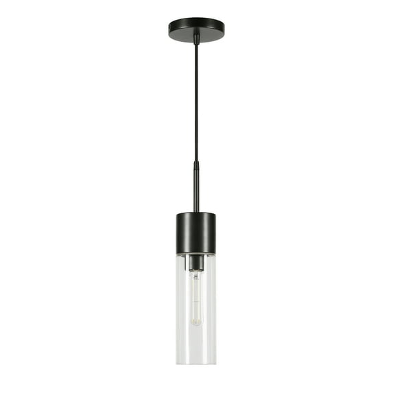 Evelyn&Zoe Industrial Clear Glass Pendant