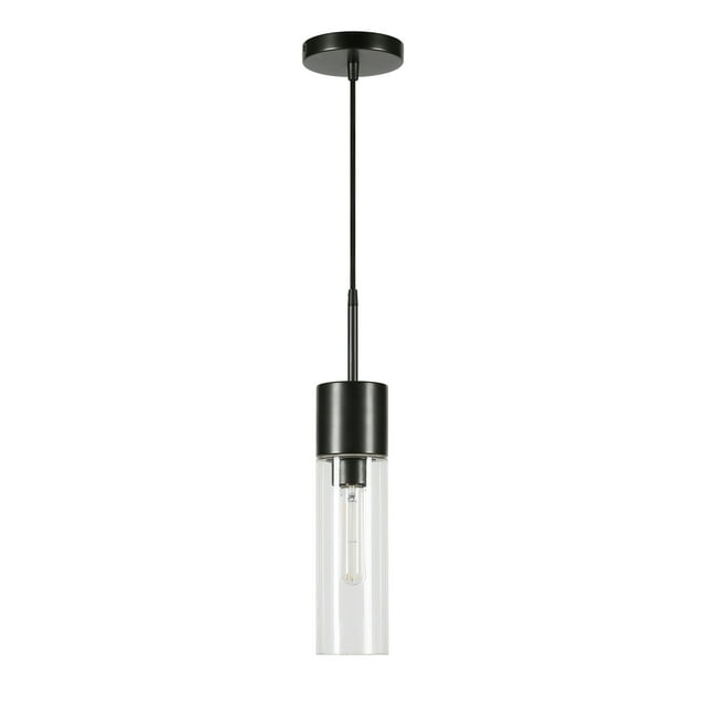 Evelyn&Zoe Industrial Clear Glass Pendant