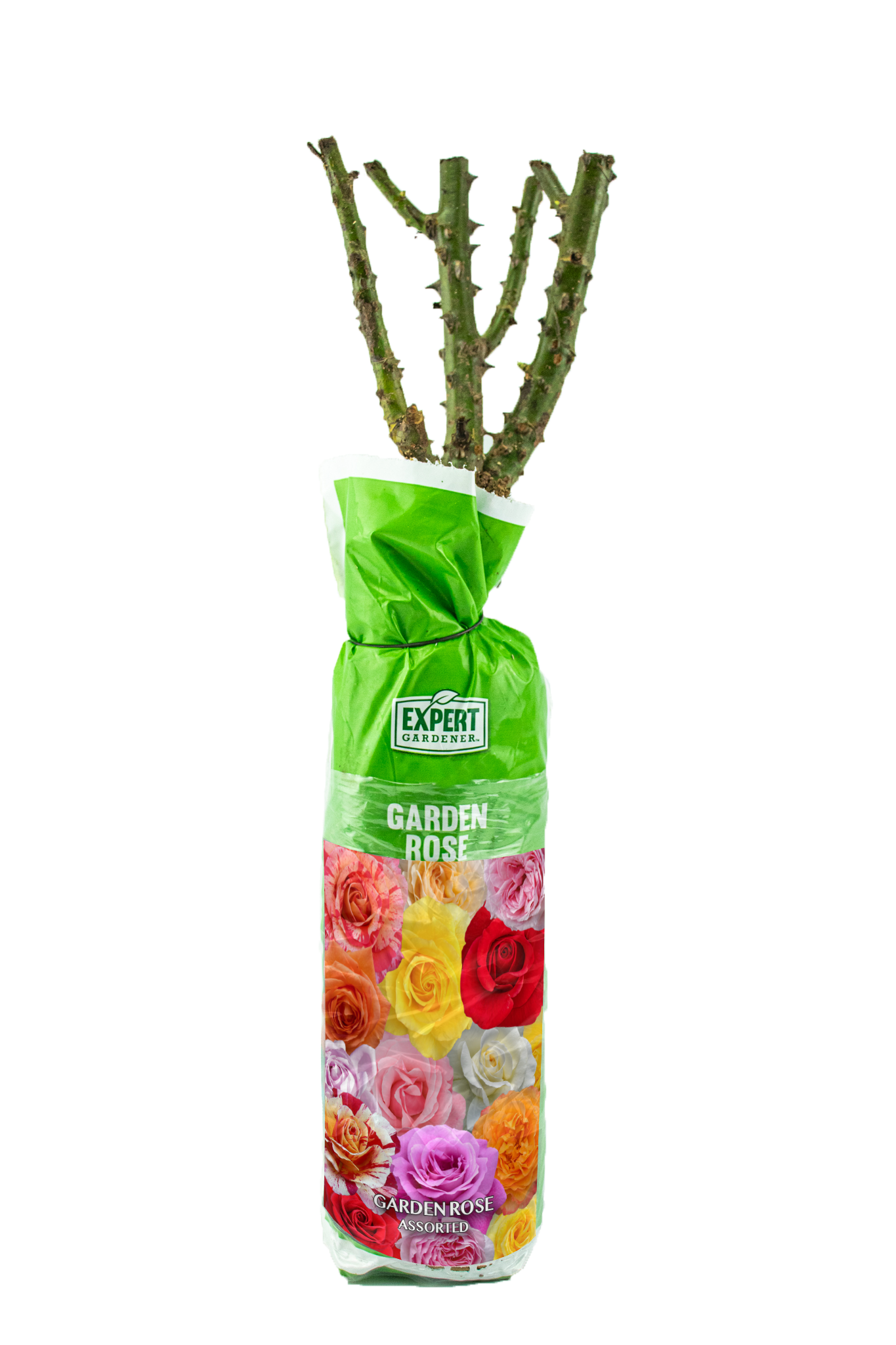 Expert Gardener Dormant Packaged Garden Rose Live Shrub (1-Each)