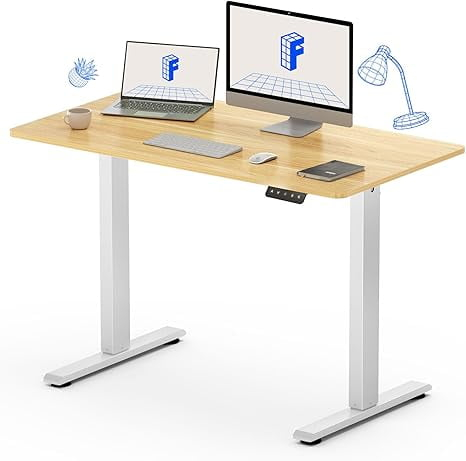 FLEXISPOT Standing Desk Adjustable Height with Whole Piece Desk Board 43 x 24