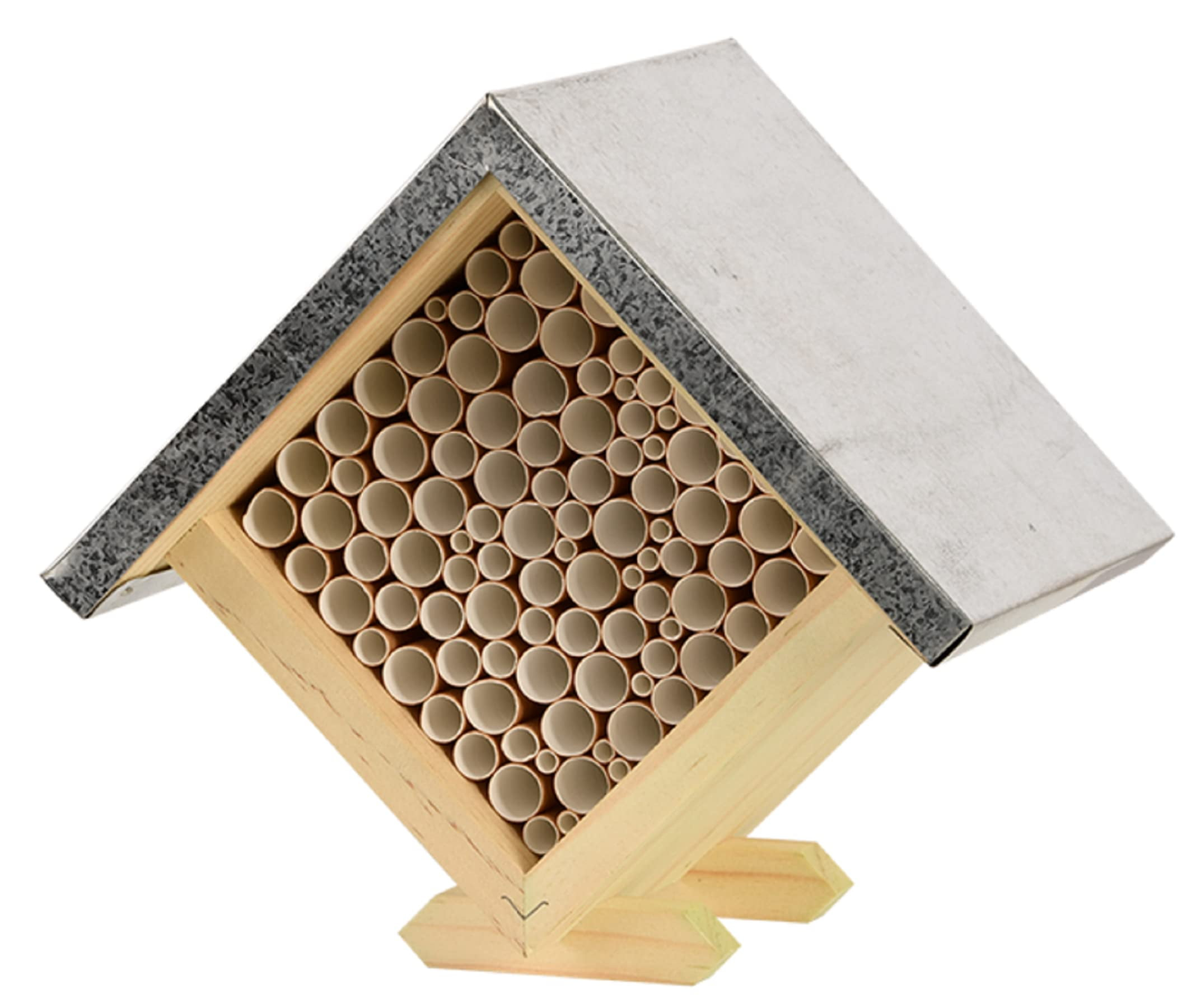 Fallen Fruits WA54 BEE House Square, Brown