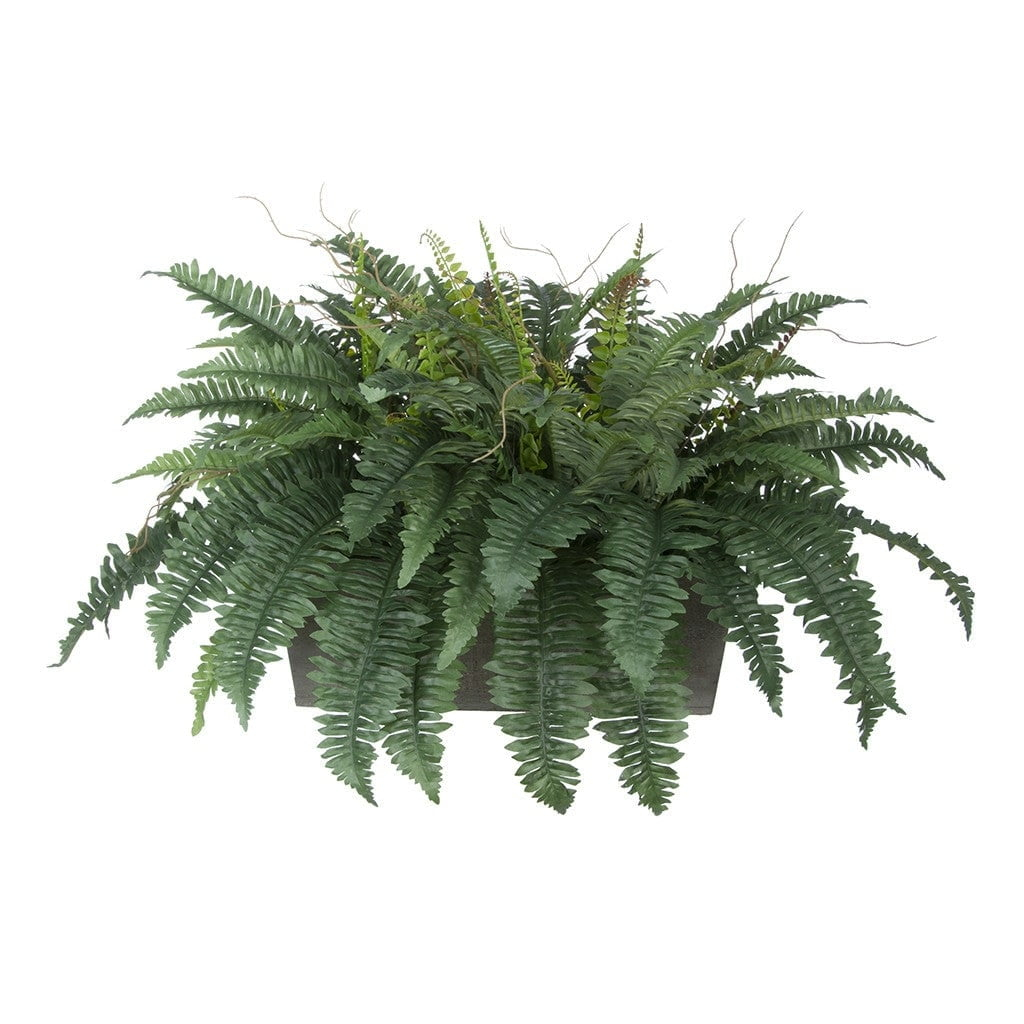 Faux Fern in Washed Wood Ledge Planter Gray
