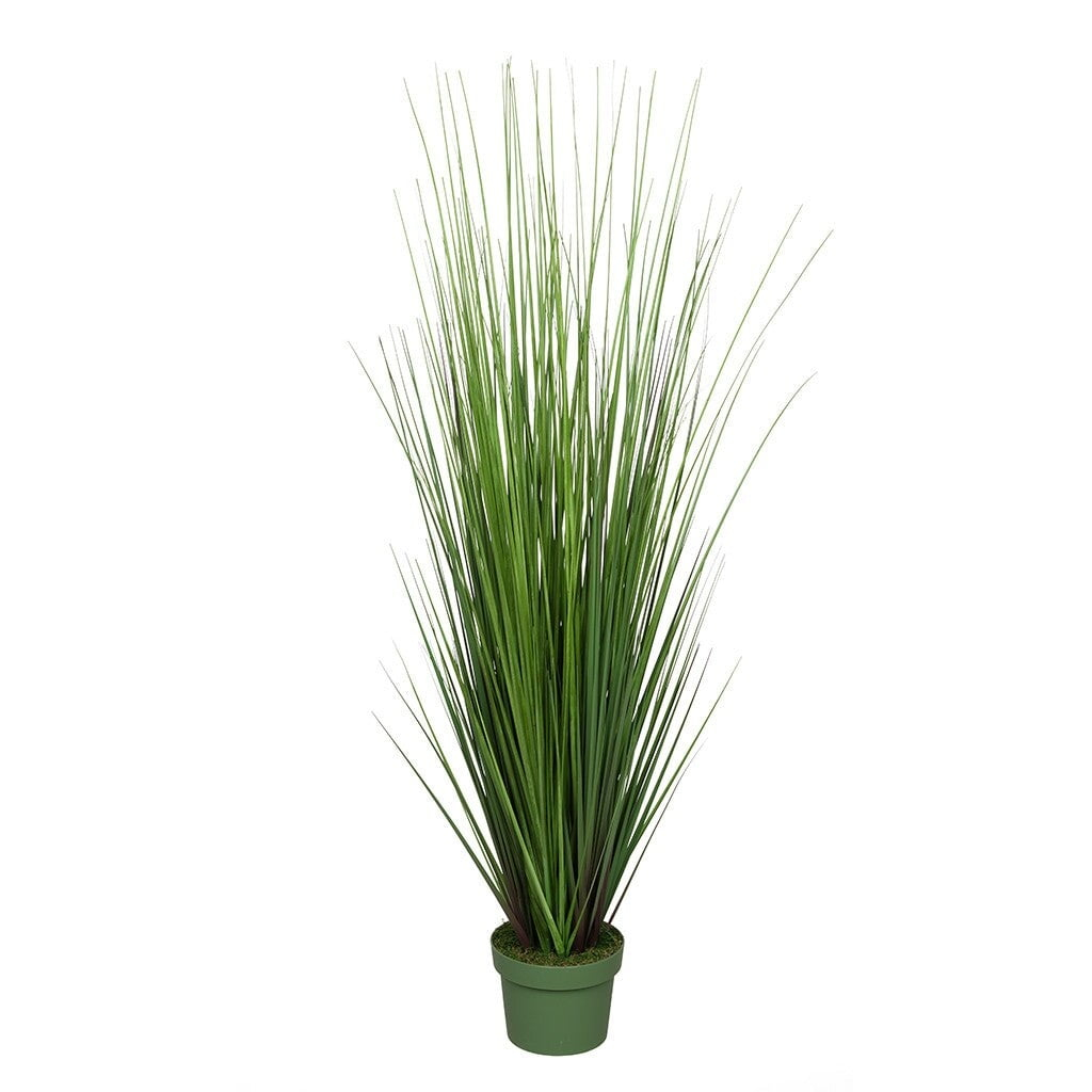 Longshore Tides Faux Reed Grass in Vase