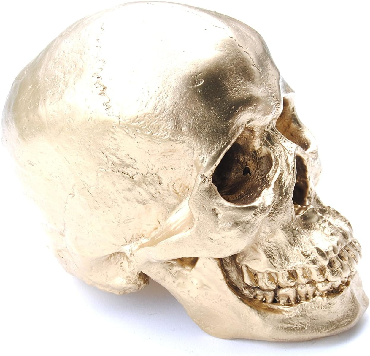 Resin Gold Skull Model - Life Size High Fidelity Sculpture for Halloween Decor Statues, Home Decoration & Artistic Display
