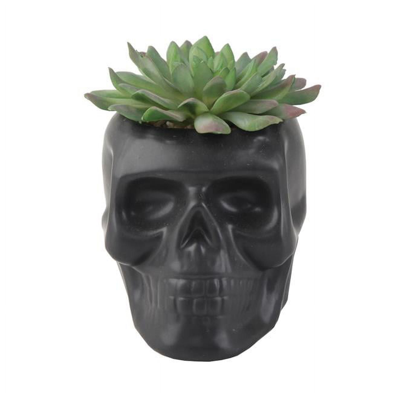 Matte Black Ceramic Day Of The Dead Ghastly Skull Planter Bowl Pot Figurine