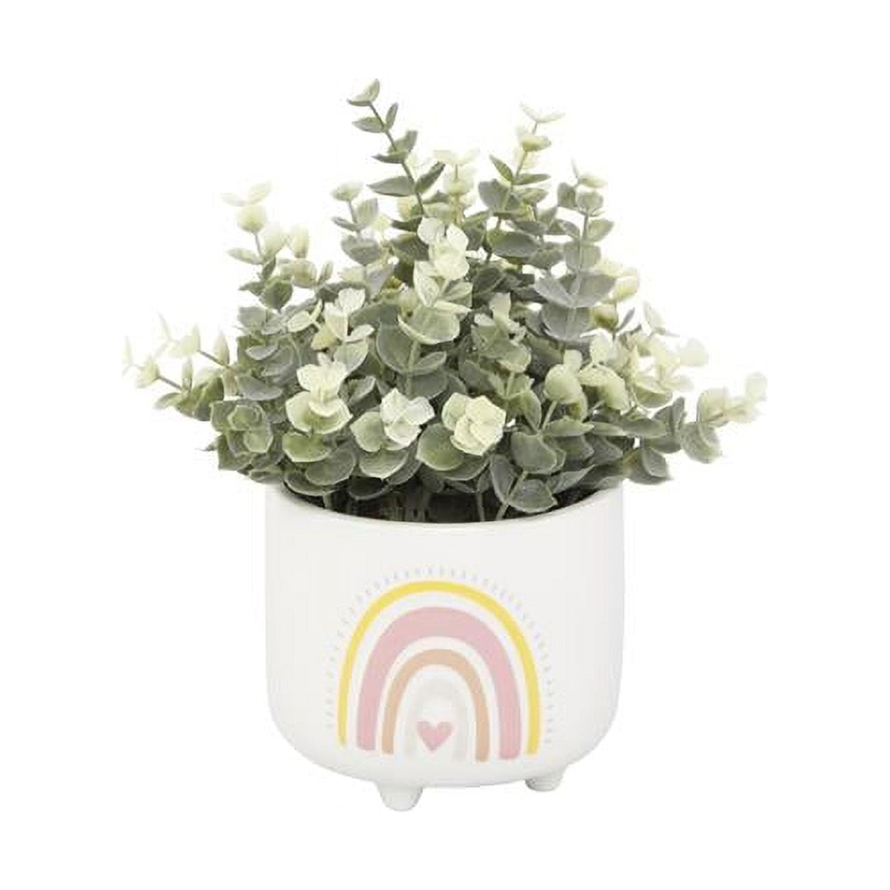 Flora Bunda CS5382E-PK Eucalyptus in 4.75'  Double Rainbow Footed Pot