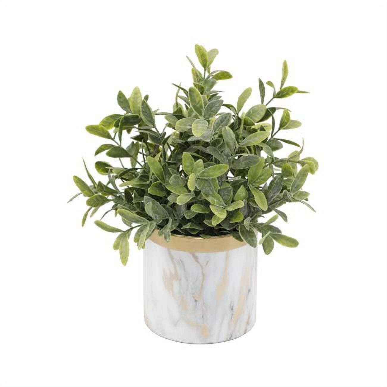 Flora Bunda CS5172E-GD Tea leaf in GD Marble 4.5' Ceramic Pot