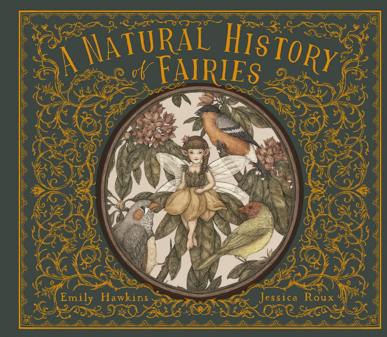 A Natural History of Fairies - (Folklore Field Guides) by  Emily Hawkins (Hardcover)