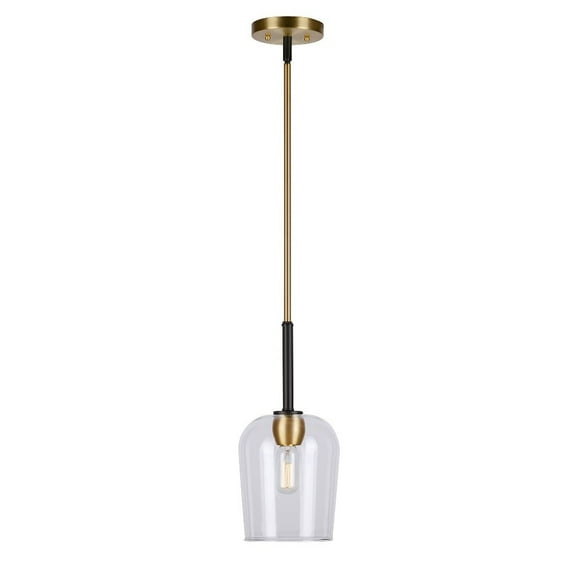 Forte Lighting 2726-01 Palmer 7" Wide Mini Pendant - Black and Soft Gold