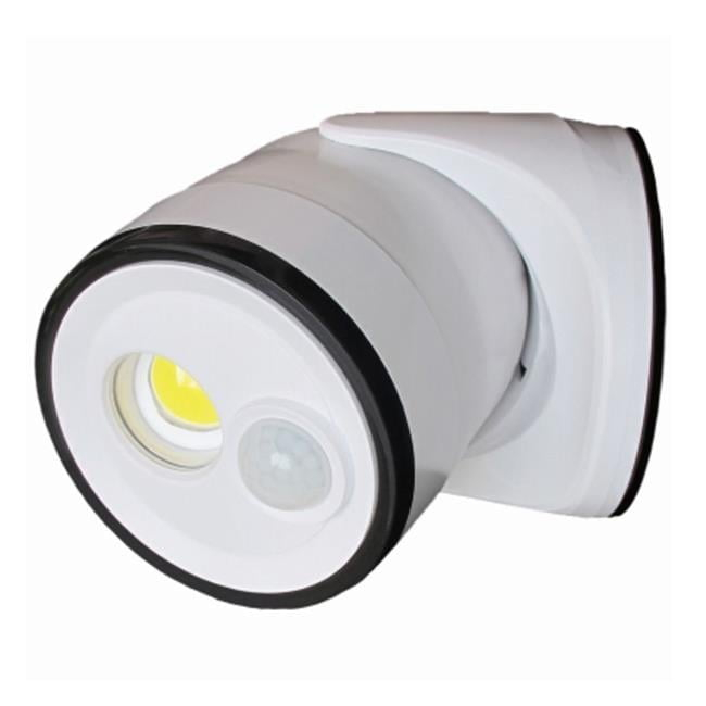 Fulcrum Products 273659 Dual Security Flood Light