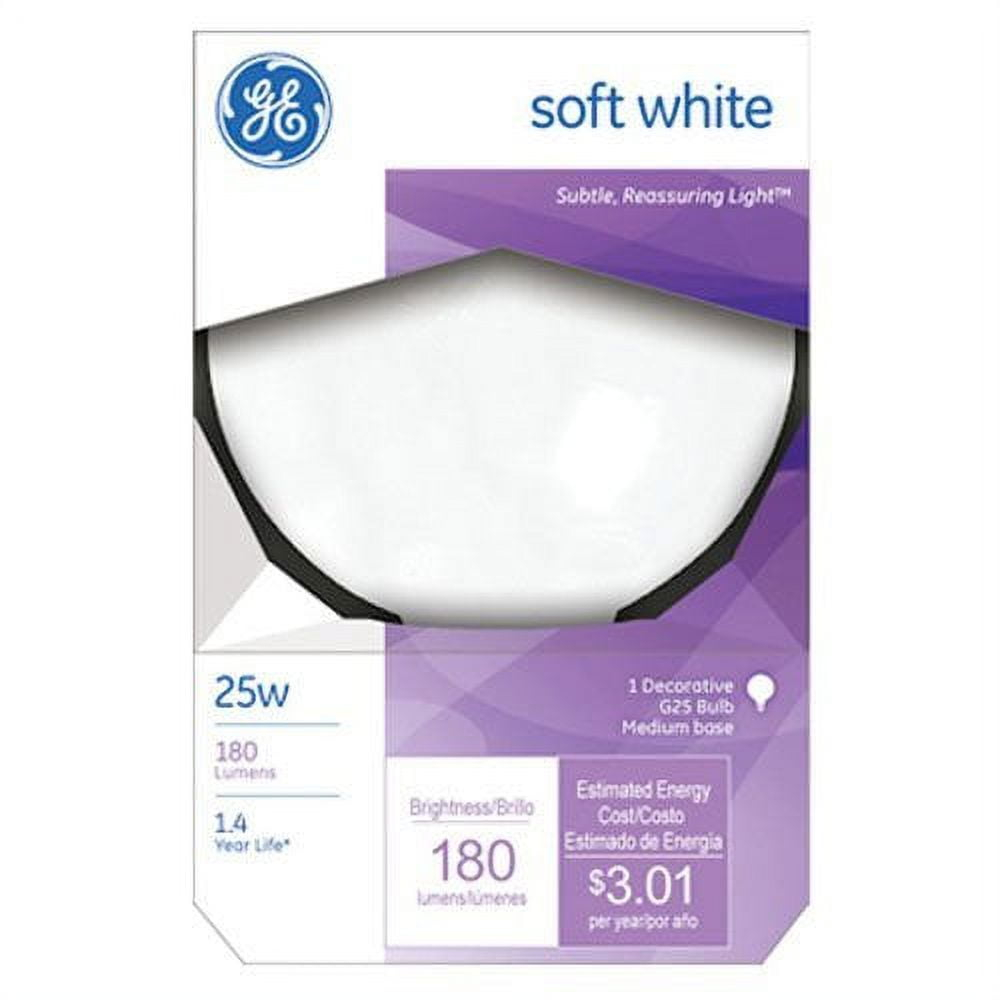 GE 120-Volt (2500K) Light Bulb