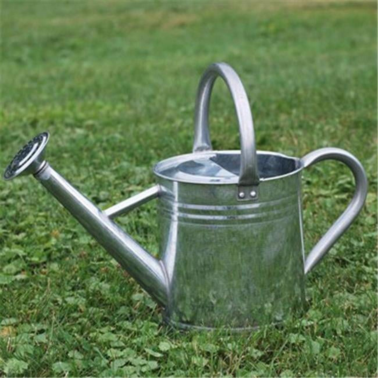 Gardener's Select Classic Metal Gardening Watering Can, Silver, 0.92 Gallon