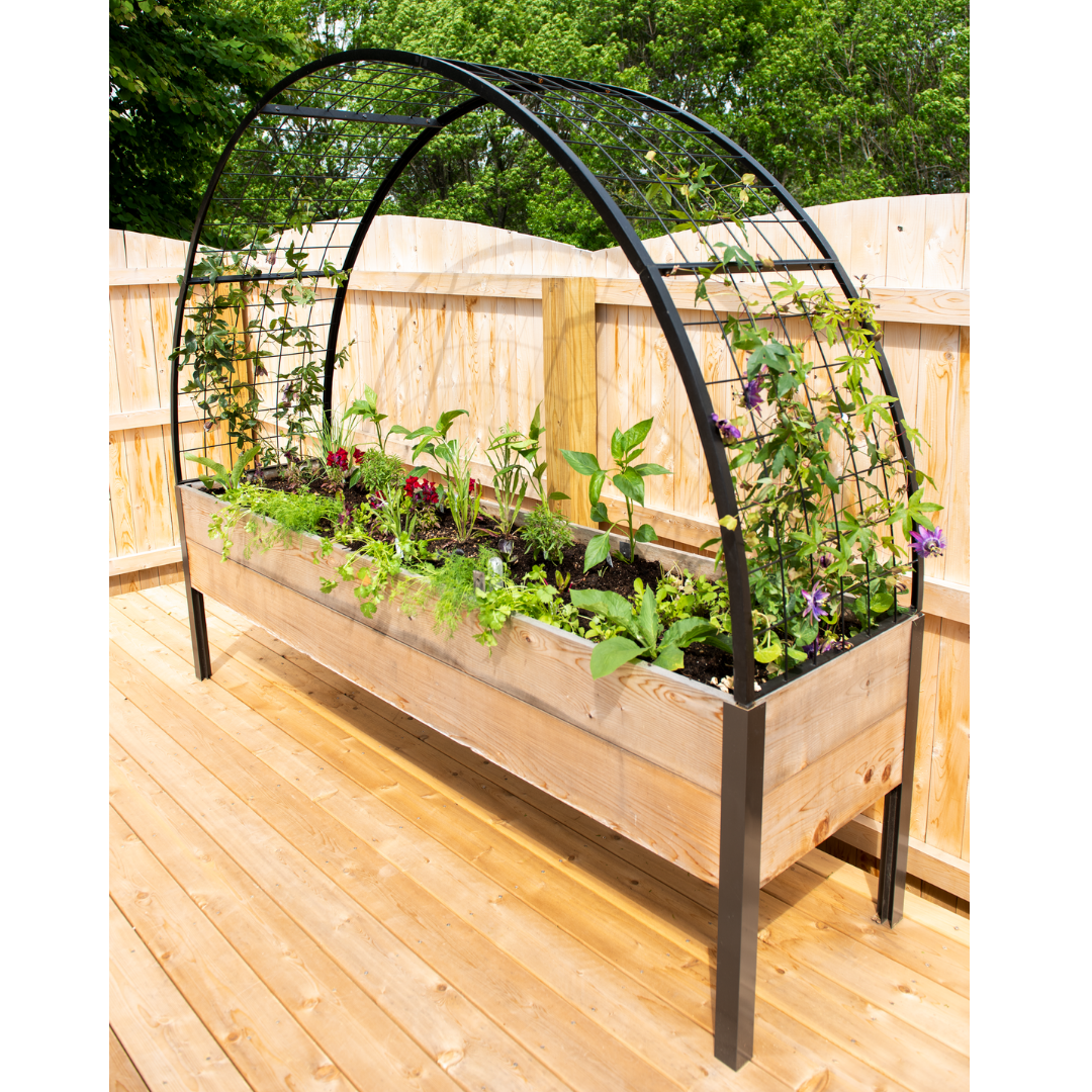 Gardener's Supply Company 2’ x 8’ Arch Trellis for Planter Boxes