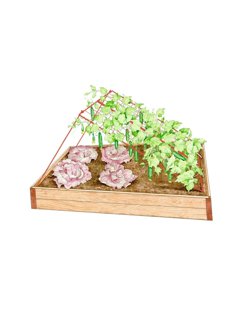 Gardener's Supply Company Cucumber Trellis