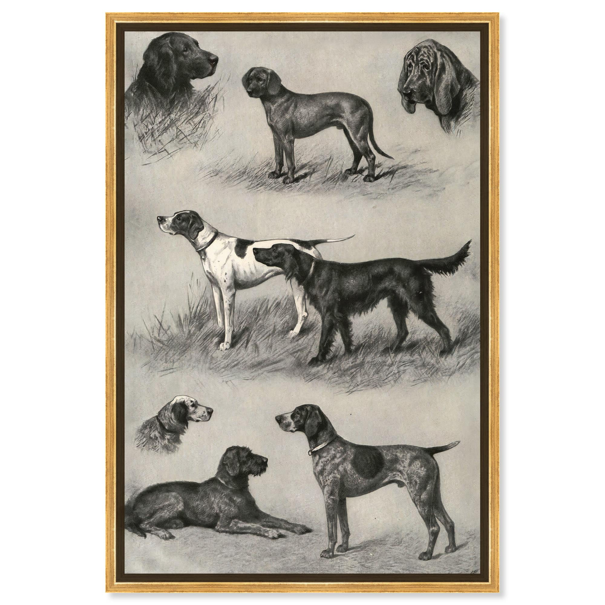 Generations of Dogs II Canvas Animal Line Art by Art Remedy, Gold Frame, 24" x 36"