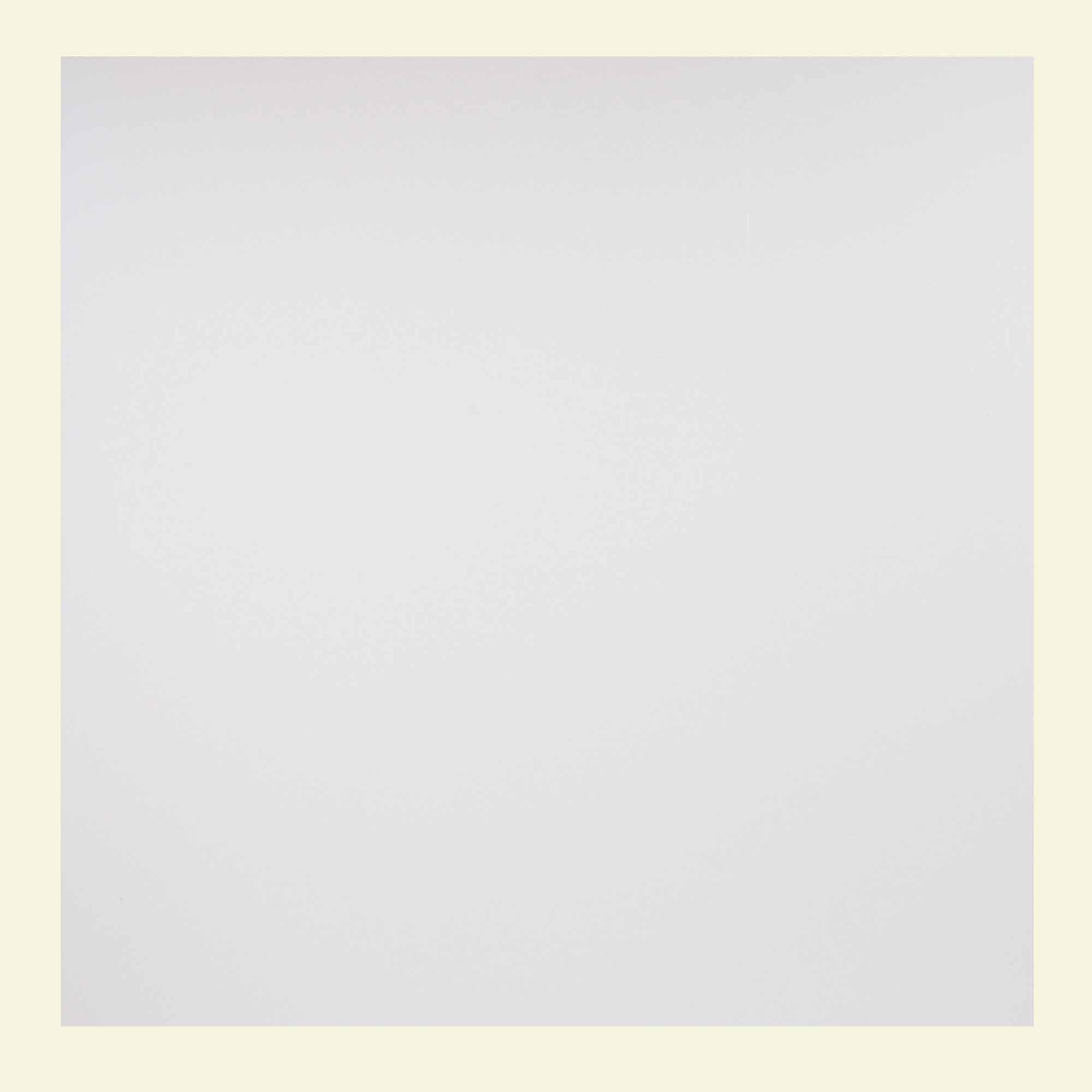 Genesis 2’ x 2’ Smooth Pro (12 Pack) Waterproof, Fire-Rated PVC, Washable, Easy Drop-In Installation, White Solid Through Color
