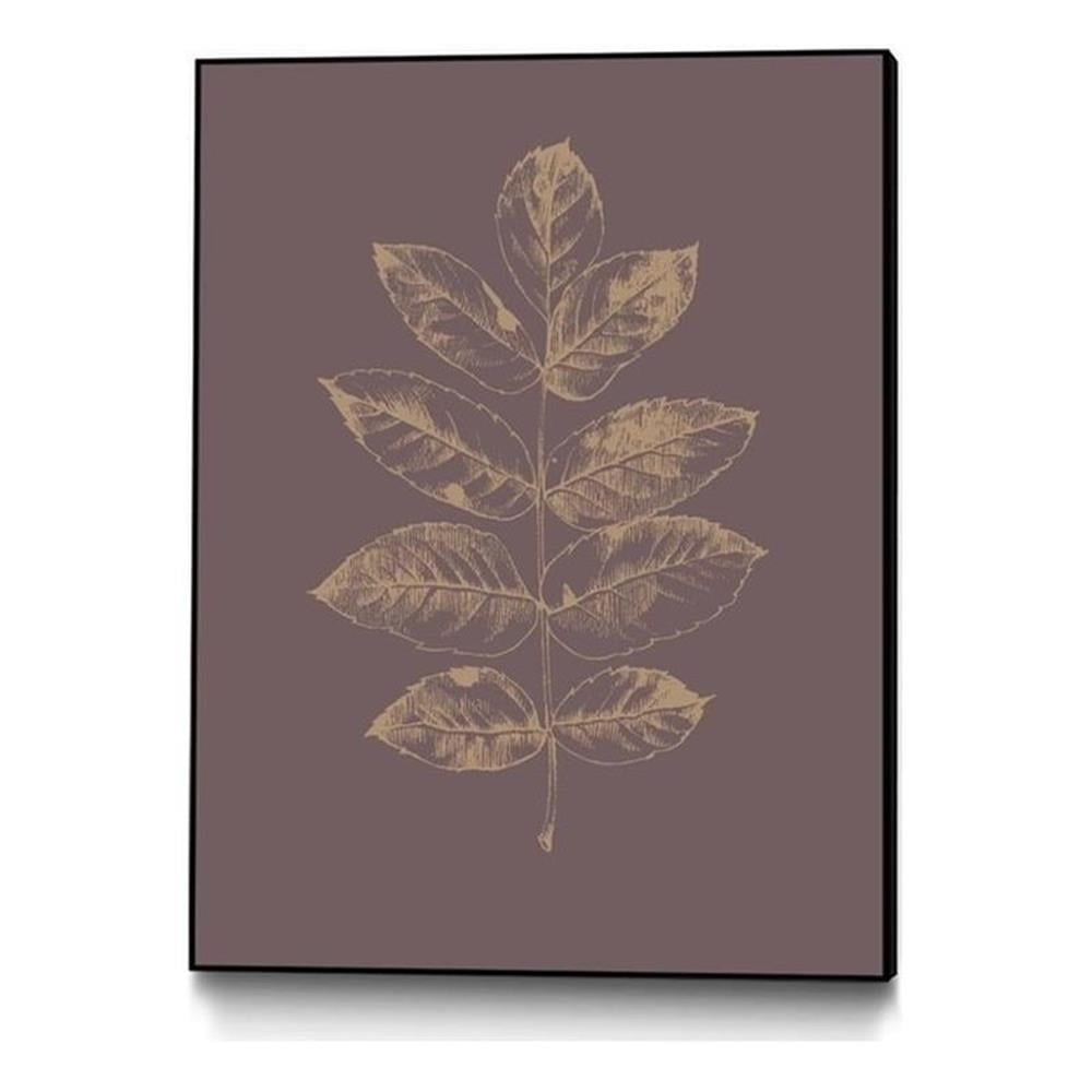 Giant Art Canvas  24x32 Botanica 2 Framed in Multi-Color