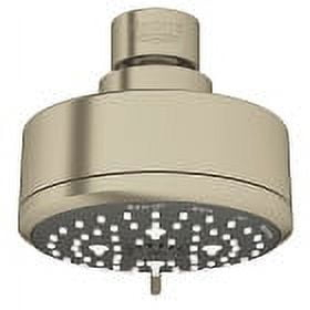 Tempesta Fixed 4-Setting Shower Head Rain O2 Rain Massage Jet Settings