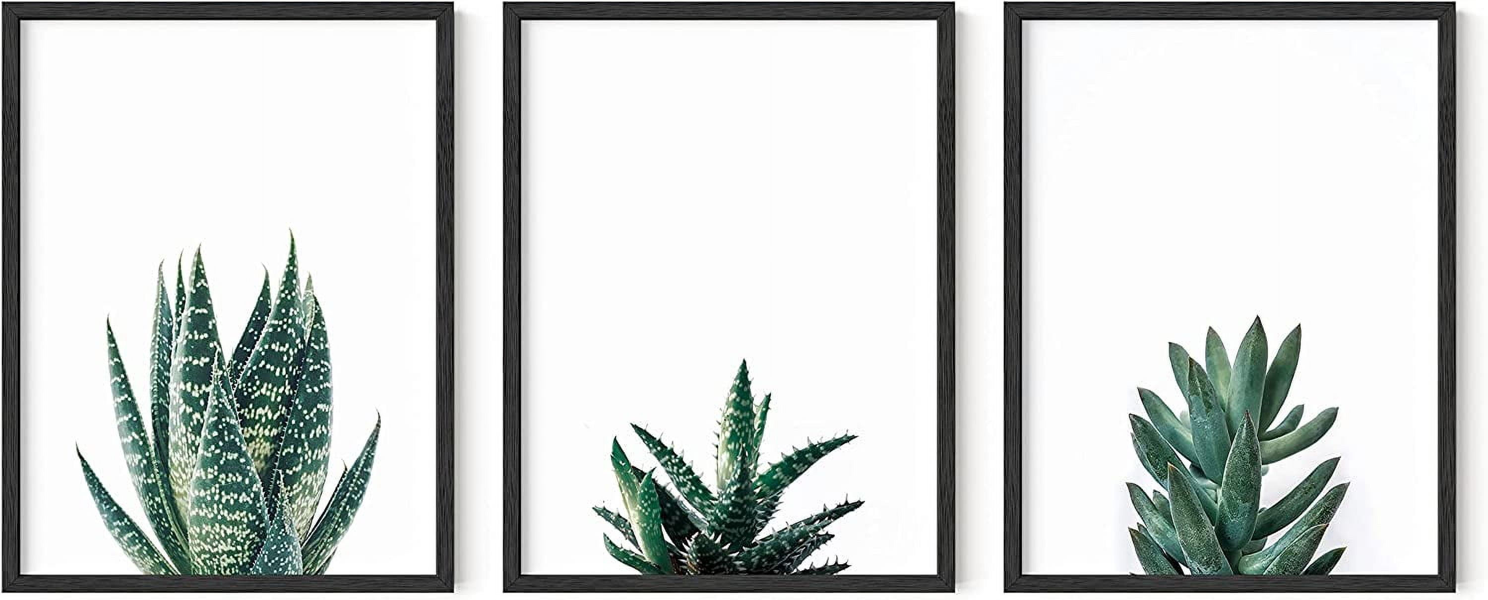 HAUS AND HUES Plant Pictures Wall Art Set of 3 - Plant Art, Minimalist Succulent, Plant Posters for Room Aesthetic, Leaf Prints, Botanical, Cactus Green Pictures for Bedroom (12x16, UNFRAMED)