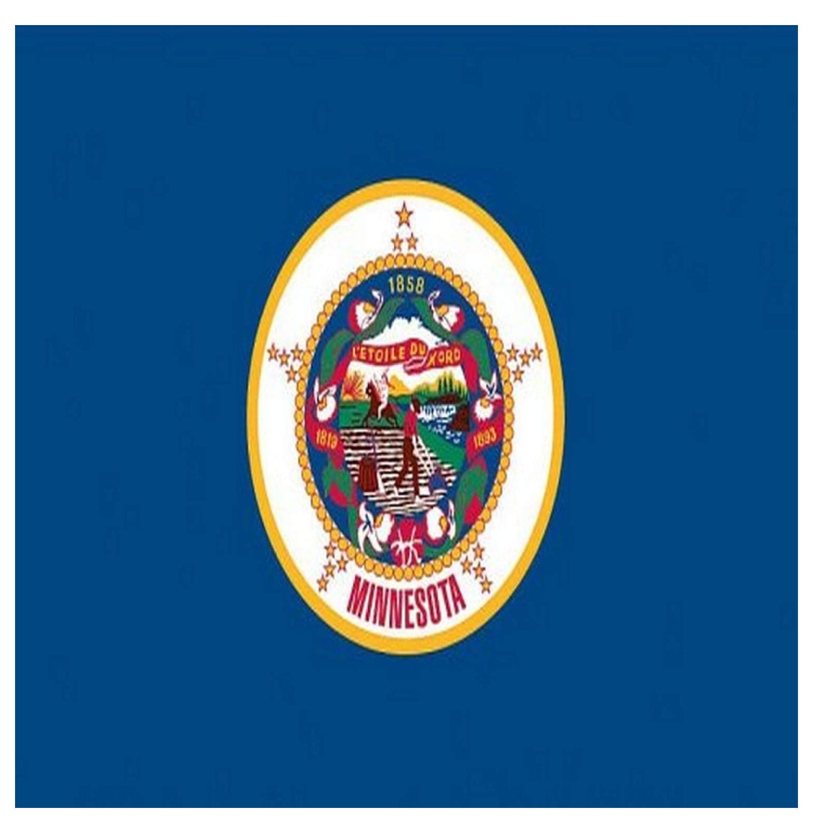 Minnesota State Flag 3x5ft,Double Sided MN State Flag, for Indoor Outdoor Decor