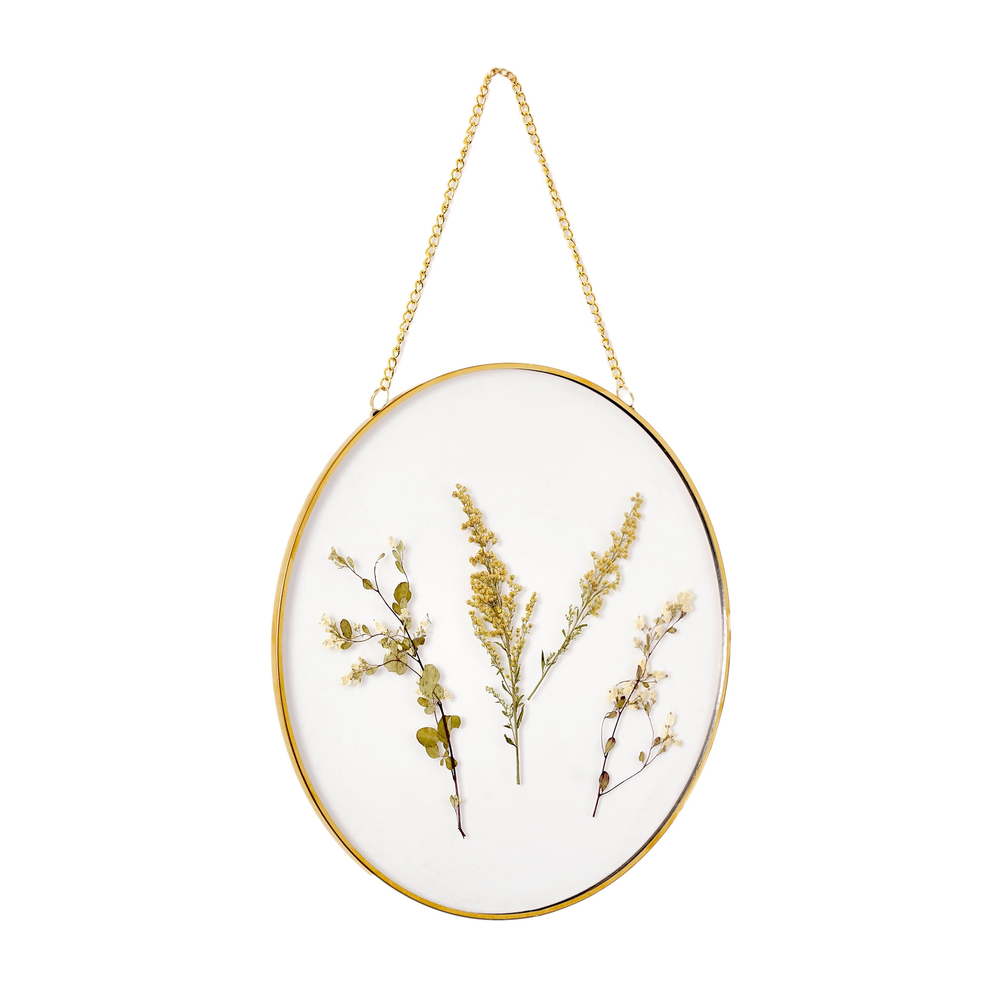 Hanging Gold Circular Framed Glass Dried Pressed Floral Wall Decor