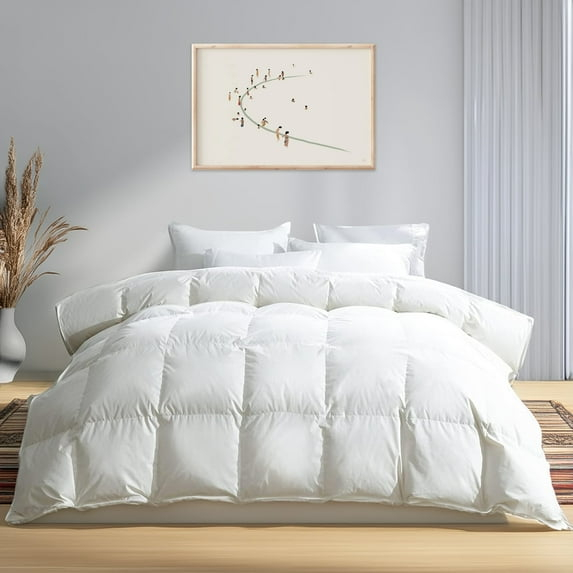 Highland Feather  Winter Cozy Series Extra Warm Premium White Goose Down Comforter Queen - 600 Loft