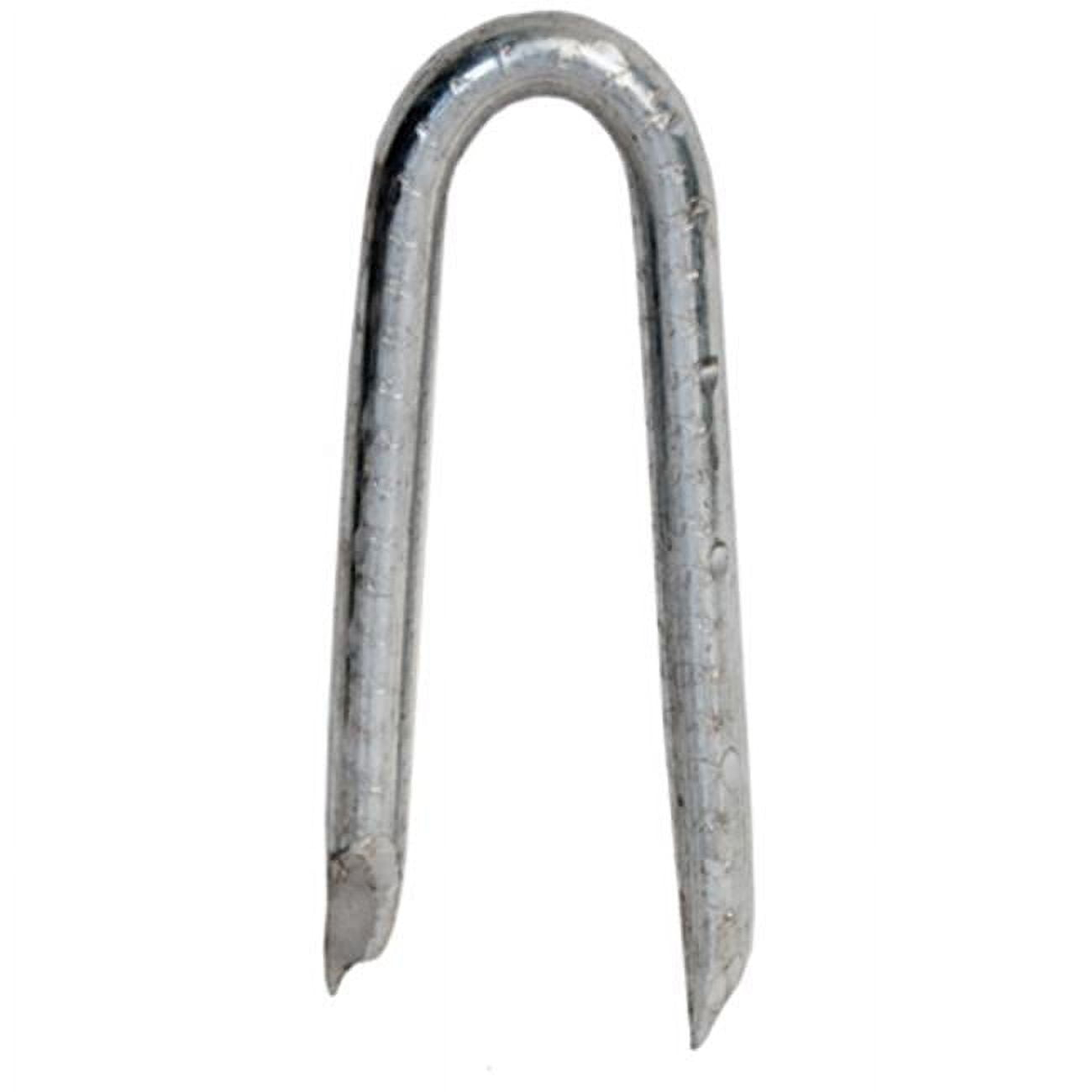 Hillman Fasteners 461298 1.25 in. Hot Dipped Galvanized Fence Staple