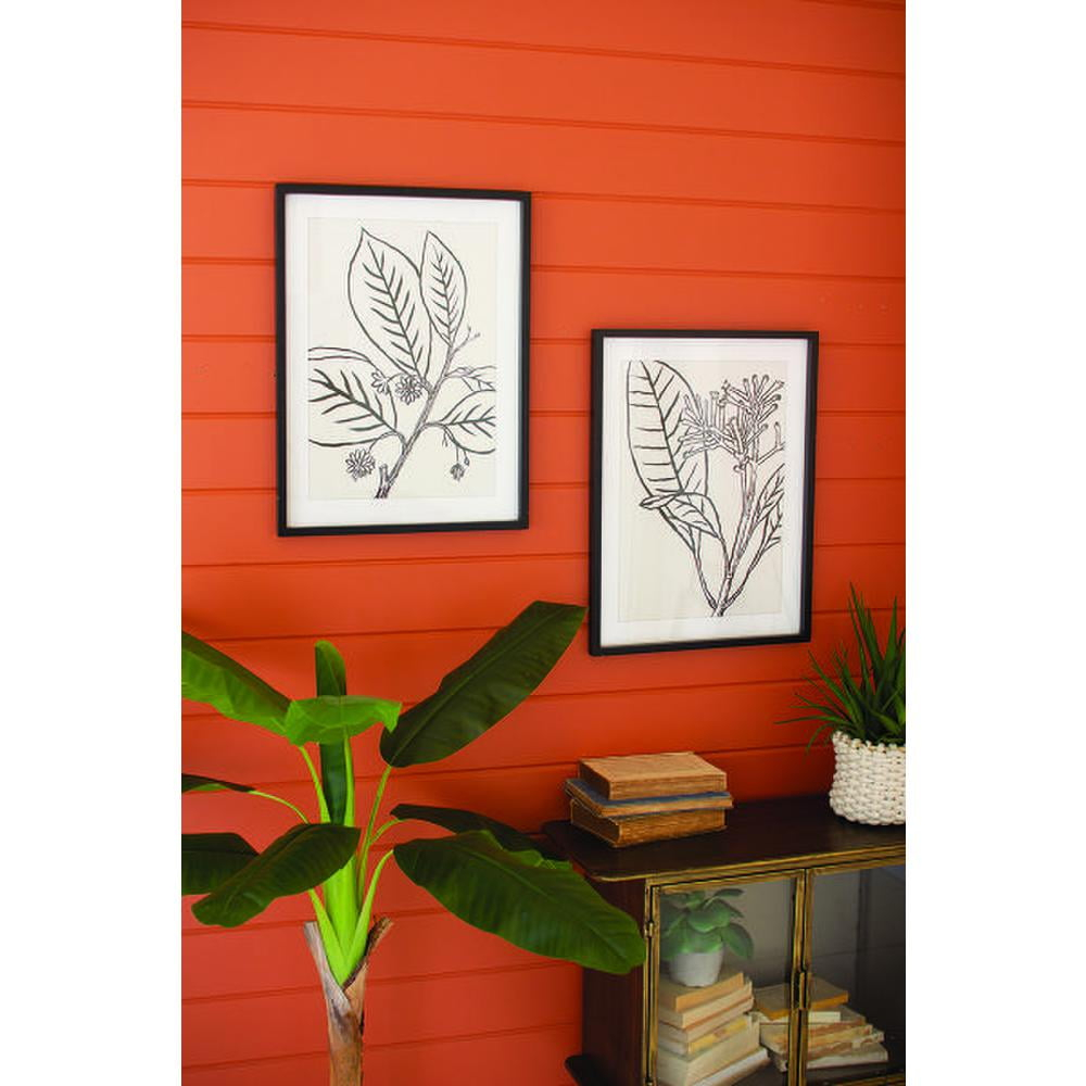 SET OF TWO LEAF PRINTS UNDER GLASS WITH BLACK FRAME 18 X 23.5T