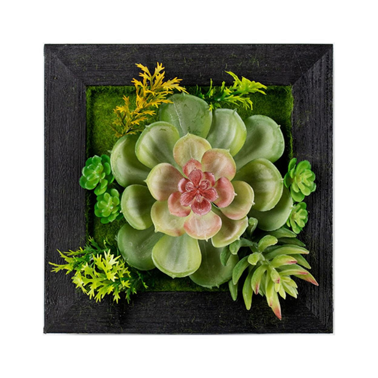 Melrose Hanging Succulent Box Wall Decor (Set of 6)