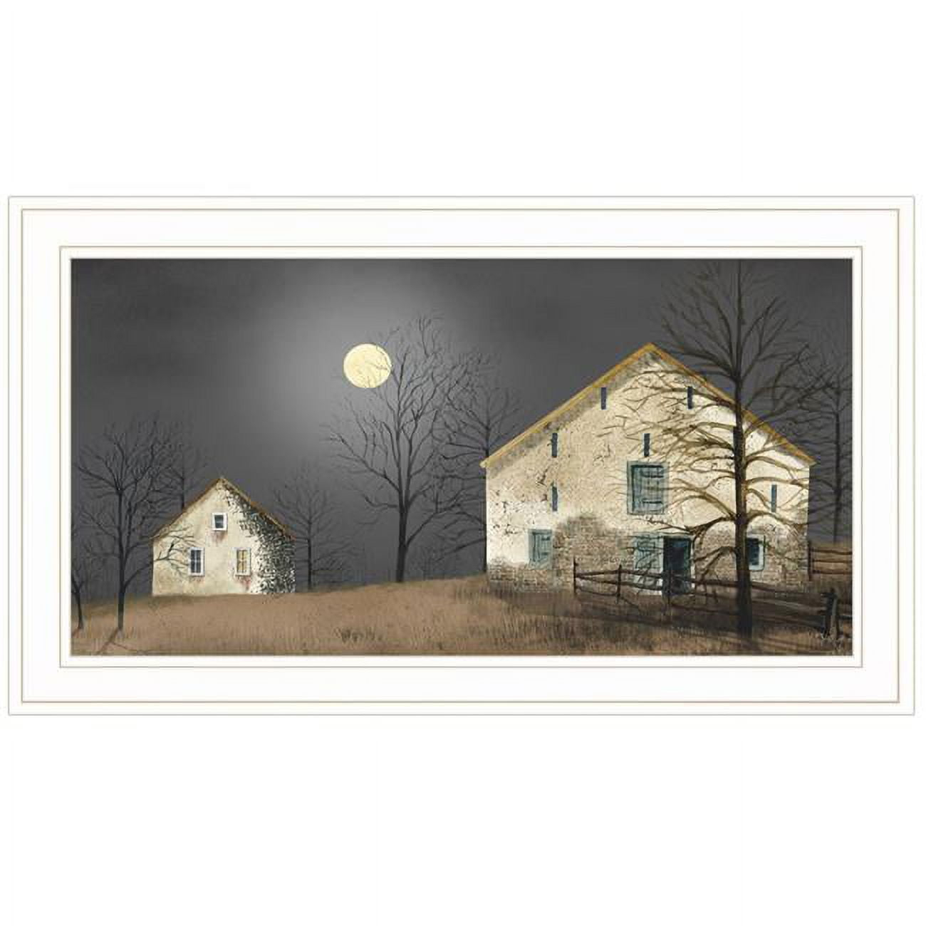 HomeRoots 15 x 21 x 1 in. Still of the Night 3 White Framed Print Wall Art