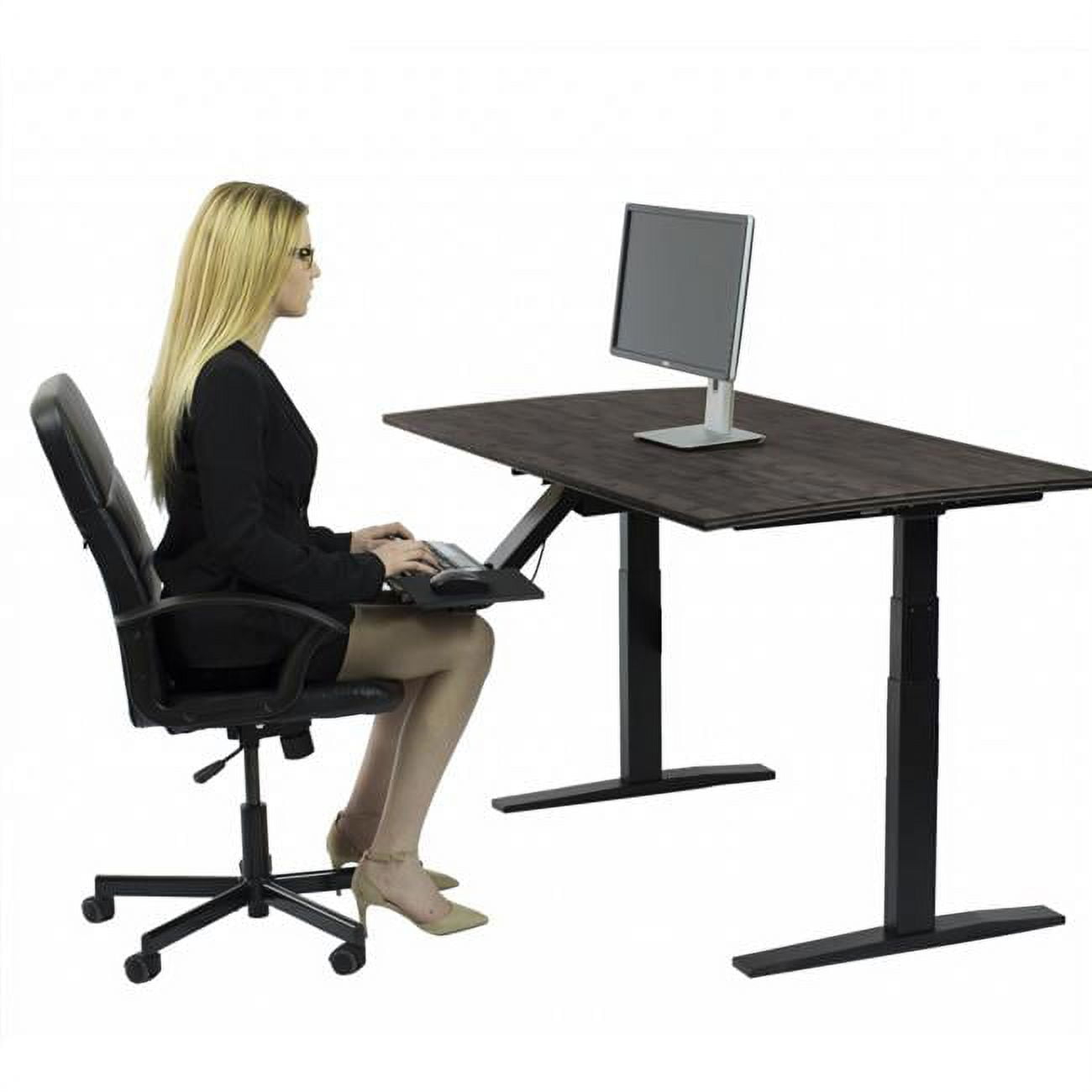 Premier 52" Black Dual Motor Electric Office Adjustable Standing Desk
