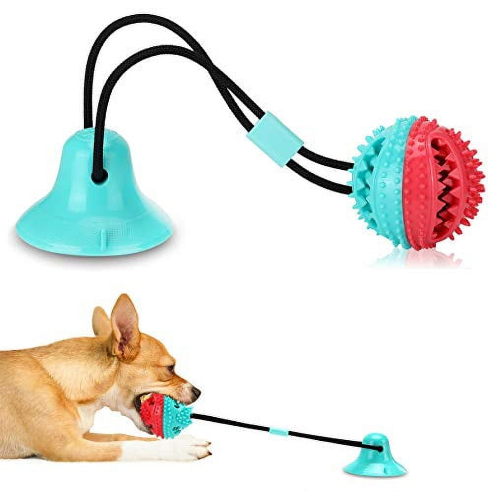 Red and Turquoise TPR Dog Chew Ball with Suction Cup