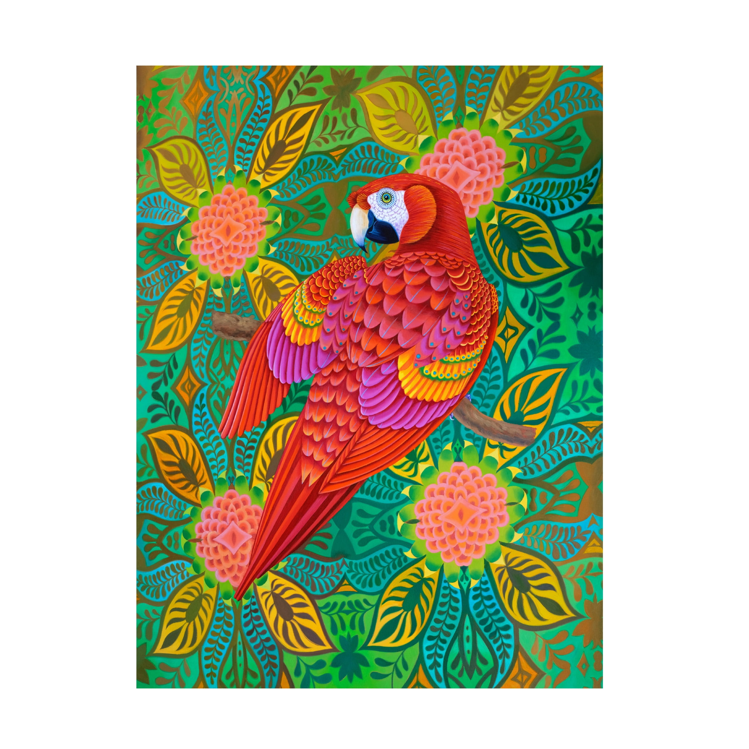 Jane Tattersfield 'loro Rojo' Lienzo Art