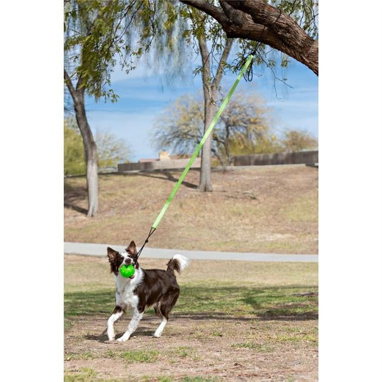 Jolly Pets Tree Tugger For Dog - Green