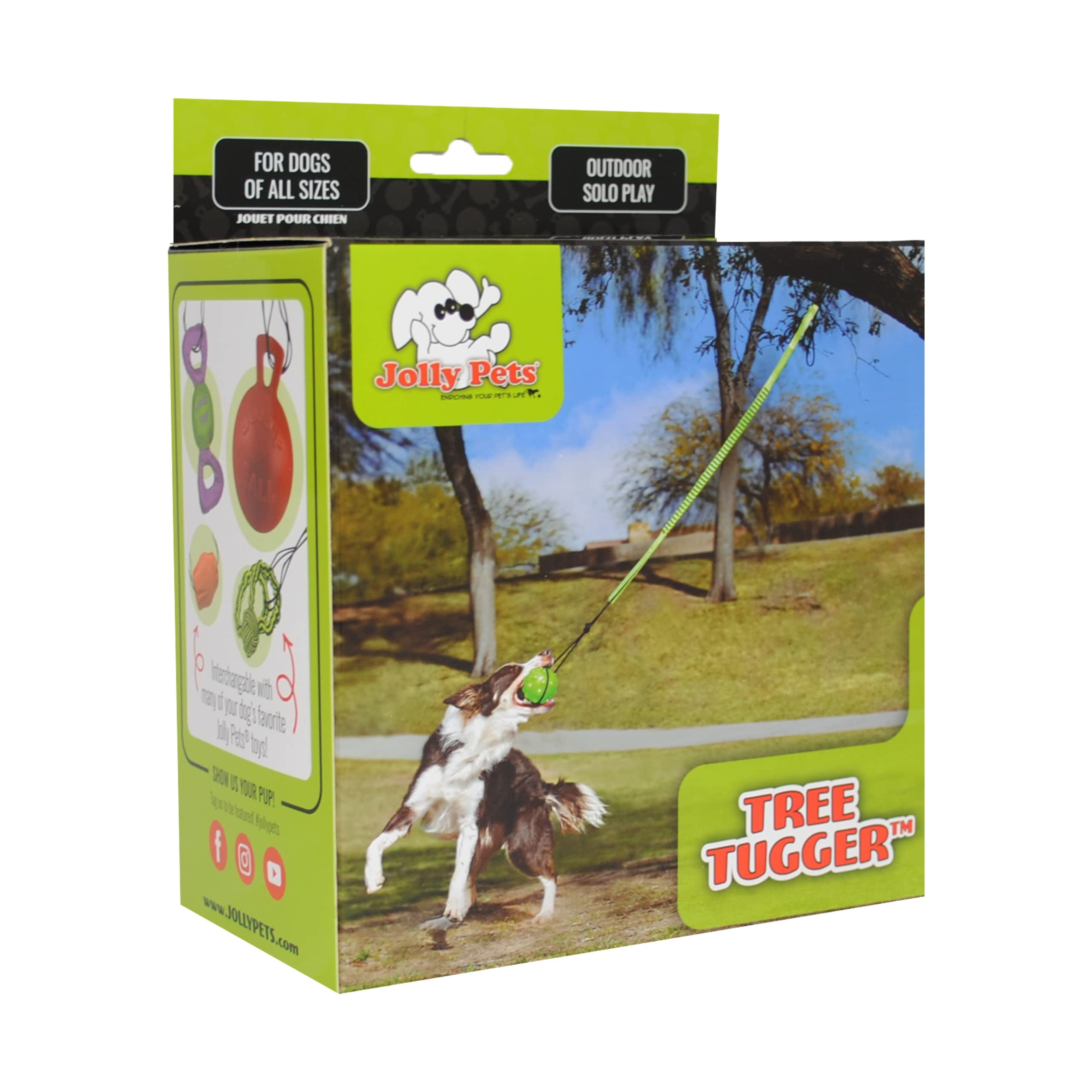 Jolly Pets Tree Tugger For Dog - Green