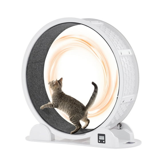 Large White and Gray ABS Cat Exercise Wheel with Pedometer