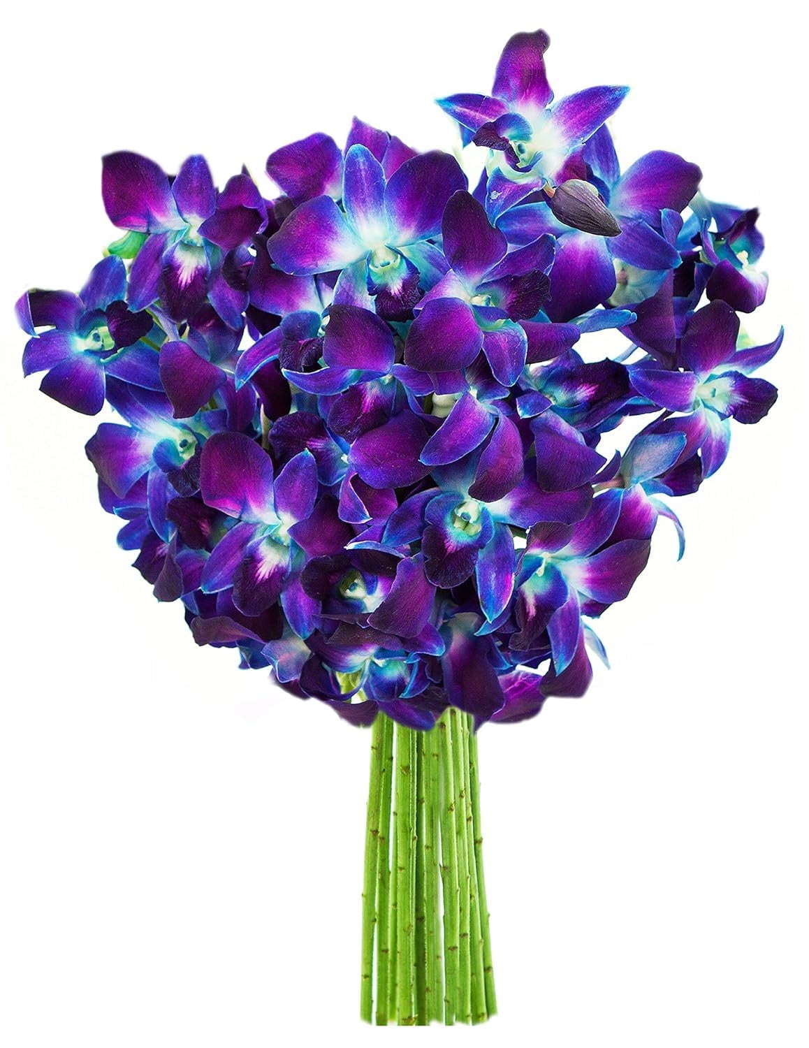KaBloom : Bouquet of Fresh 10 Blue Dendrobium Orchids, Next-Day Delivery.